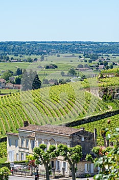 Vineyards of Saint-Emilion, near Bordeaux in France.
