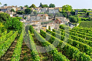 Vineyards of Saint Emilion village