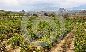 Vineyards and San Vicente de la Sonsierra village, La Rioja Spain