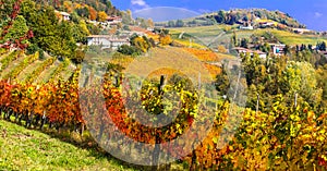 Vineyards and scenic countryside of Piemonte,Barolo. Italy