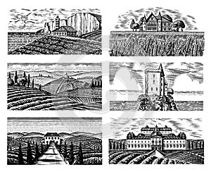 Vineyards Set for bottle labels. Vine plantation. Scenic view of French engraved landscape. Mountains Rural Fields Wheat