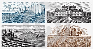 Vineyards Set. Vine plantation for bottle labels. Scenic view of French or Italian engraved landscape. Mountains Rural