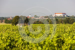 vineyards and Siklos castle, Hungary