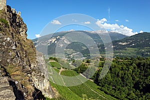 Vineyards in Sion, Switzerland.