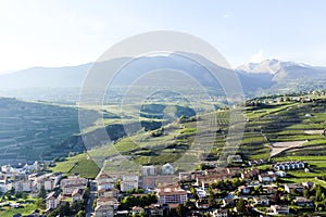 Vineyards in Sion, Switzerland.