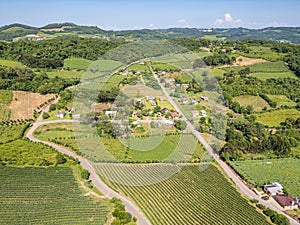 Vineyards in a small village