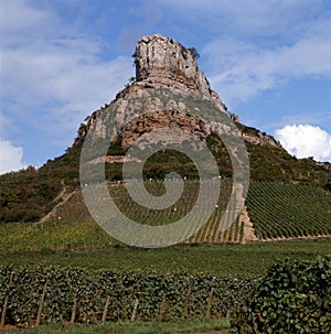The vineyards of Solutre-Pouilly