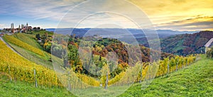 Vineyards in South Styria, known as Austrian Tuscany, a charming region on the border between Austria and Slovenia with rolling