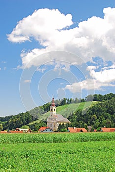 Vineyards in Styria,Austria
