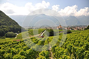 Vineyards, Switzerland