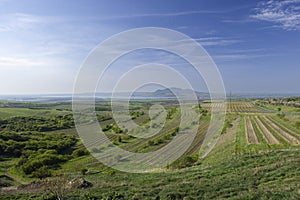 Vineyards under Palava,  Southern Moravia, Czech Republic photo