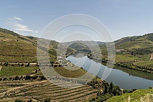 Vineyards in the Valley of the River Douro, Portugal