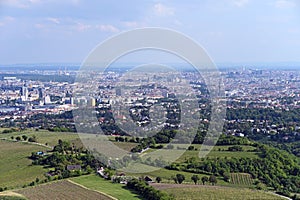 Vineyards and Vienna city panormaic view