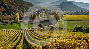 Vineyards and the village of Valserres in Autumn. Winery and grape vines in the Hautes-Alpes photo