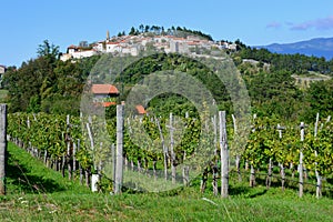 Vineyards and Village view of Stanjel, Slovenia