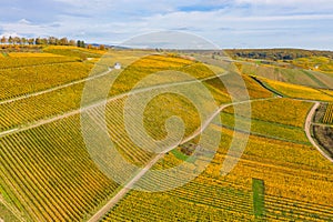 Vineyards and a vineyard house in the Rheingau / Germany in autumn