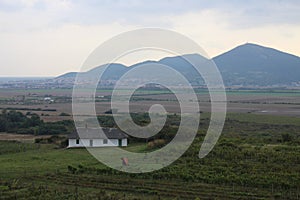 Vineyards in vineyard Tokaj region near Mala Trna, Slovakia