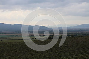 Vineyards in vineyard Tokaj region near Mala Trna, Slovakia