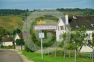 Vineyards of Vosne-RomanÃ©e