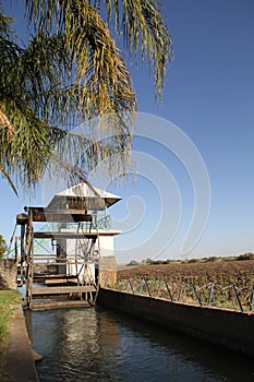 The vineyards and water wheels of Keimoes are world famous