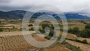 Vineyards in the wine-making region of La Rioja, Spain