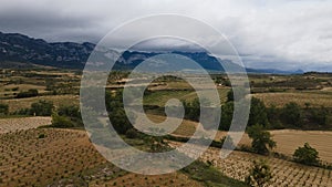 Vineyards in the wine-making region of La Rioja, Spain