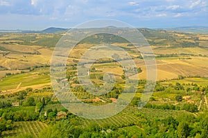 vineyards of winegrowing Tuscany