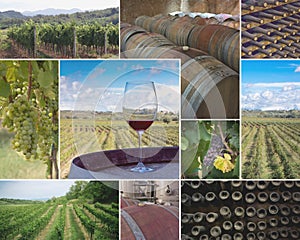 Vineyards and Wineries