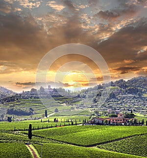 Vineyeard in Chianti, Tuscany, Italy, famous lands