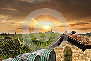 Vineyeard in Chianti, Tuscany, Italy, famous lands photo