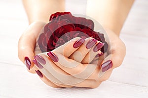 Vinous manicure with rose flowers. spa