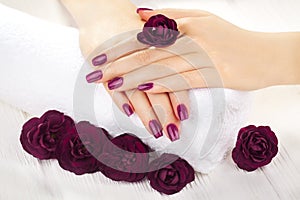 Vinous manicure with rose flowers. spa