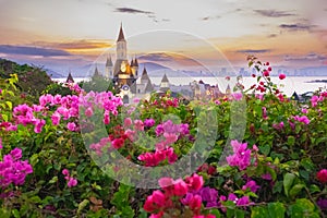 Vinpearl island Nha Trang Vietnam with a Water Park, Amusement Park Island. Bougainvillea tree with flowers