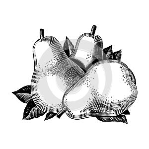 Vintage 1950s Pears