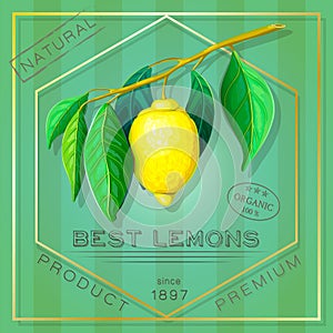 Vintage advertising poster of exotic citrus fruits. vector label with yellow ripe lemon branch in retro style. square elegant