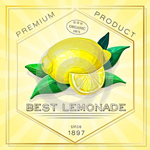 Vintage advertising poster of exotic citrus fruits. vector label with yellow ripe lemon, green leaves in retro style. square