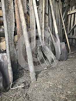 Vintage agricultural tools stand in a row in a wooden barn: rakes, hoes, pitchfork, shovels and more