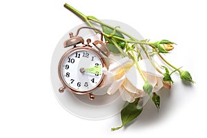 Vintage alarm clock and a light rose showing the hour between daylight saving time in summer and fall back for winter or standard