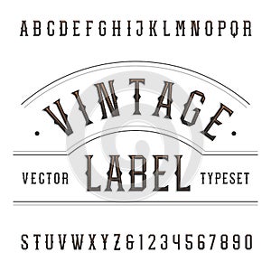 Vintage alphabet vector font. Type letters and numbers in western style.