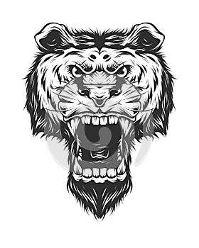 Angry tiger head in monochrome style. vintage isolated vector illustration