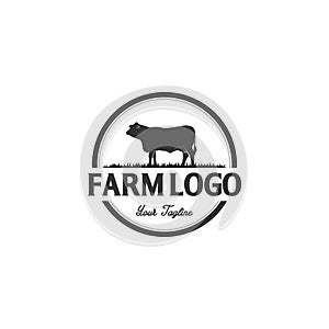 Vintage Angus Cattle Beef logo design inspiration