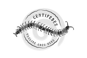 Vintage Animal Venomous Centipedes Silhouette Logo Design Vector