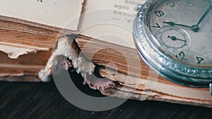 Vintage antique pocket watch on the background of old books.