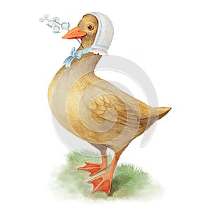 Vintage aquarelle watercolor duck