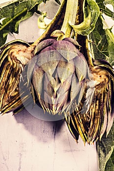 Vintage Artichoke