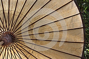 Vintage Asian Style Paper Umbrella Close up With Bamboo in Background