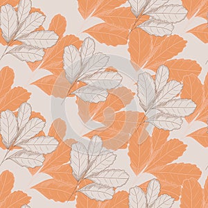 Vintage autumn leaf seamless pattern on light background. Tree leaves backdrop. Autumn floral wallpaper