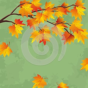 Vintage autumn wallpaper, leaf fall background