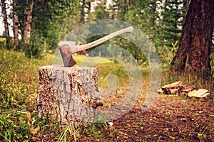 Vintage axe stuck in a wooden stump in a forest. Cutting trees and chopping firewood for winter