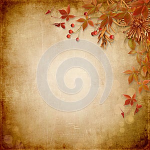 Vintage background with autumn leaves and red berries